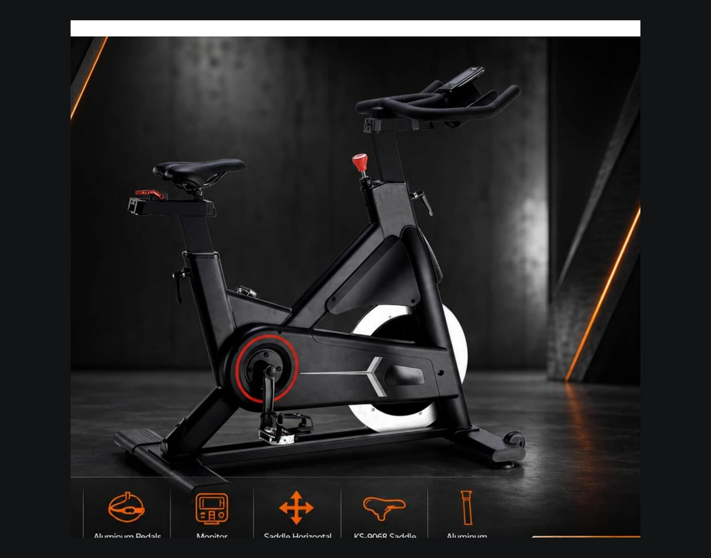 PG1399 spin bike complete view
