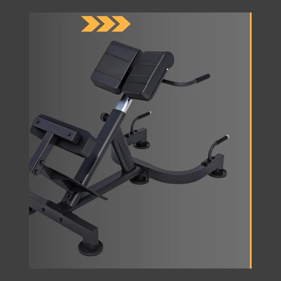 Back & Core Training